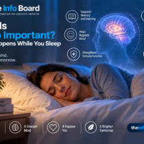 Why Is Sleep Important? What Happens While You Sleep