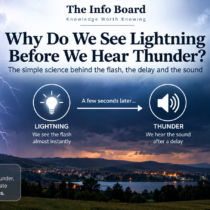 Why Do We See Lightning Before We Hear Thunder?